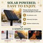 Santa Sleigh Solar Garden Light