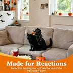 Headless Horseman Pet Costume