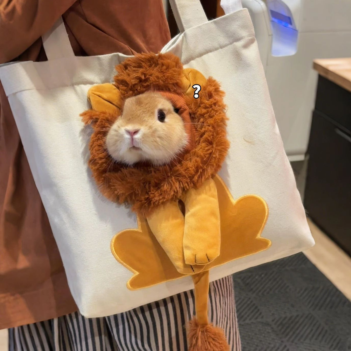 Cat and Small Dog Shoulder Carrier Bag